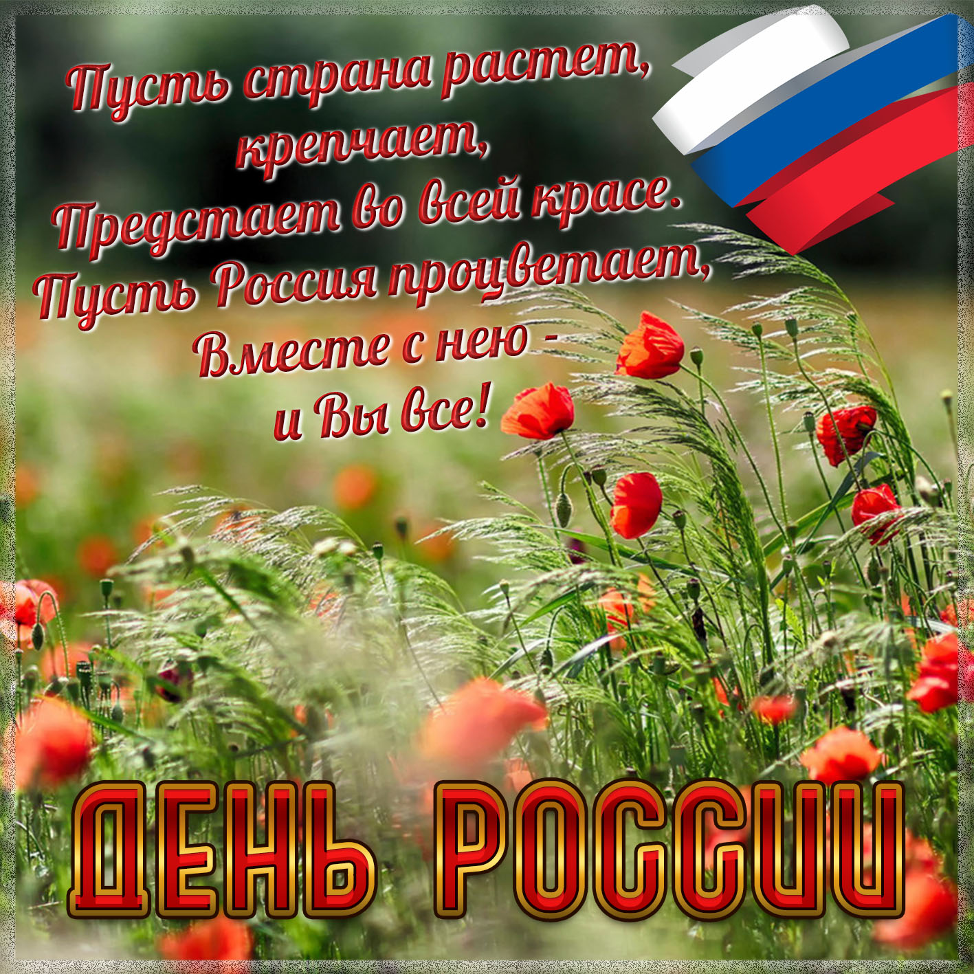 Красивое Поздравления С Днем России