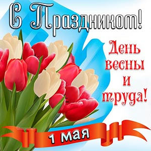 Картинка с яркими тюльпанами на День весны и труда