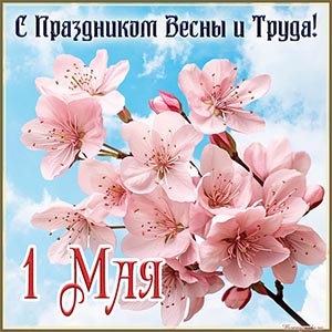 Цветы весенние и фраза - с Праздником Весны и Труда