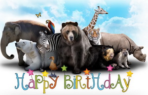 Happy Birthday, дикие животные