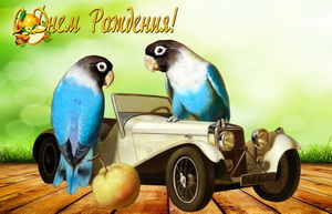 С днём рождения, старинная машина, попугаи