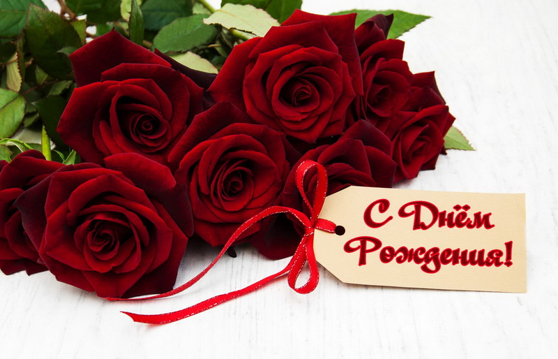 Открытка девушке с красивыми бордовыми розами