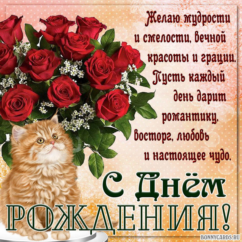 Картинка женщине на День рождения с букетом роз и котиком