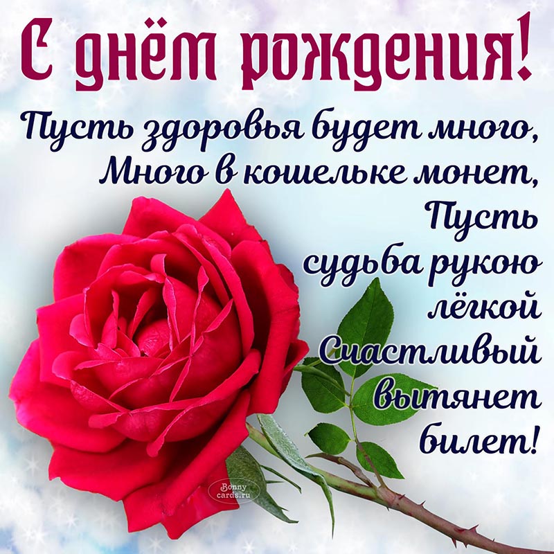 Открытка - стихи и красная роза для женщины на день рождения