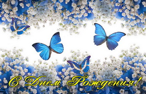 Поздравление, синие бабочки