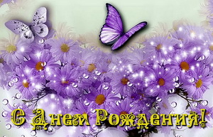 Открытка, бабочки, фиолетовые цветы