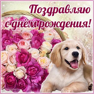 Букетик, собака и текст - поздравляю с днём рождения