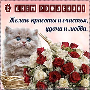 Очаровательная картинка с котёнком на день рождения