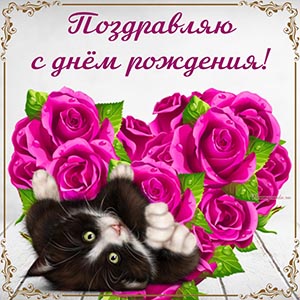 Чарующая картинка с кошкой и сердечком из розочек