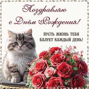 Картинка с котиком и цветами девушке на день рождения
