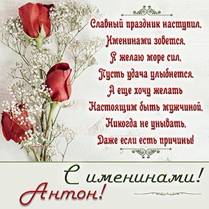 Великолепная открытка с розами на именины Антону