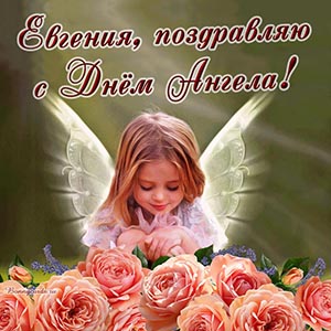 Нежное поздравление с розами Евгении на День Ангела