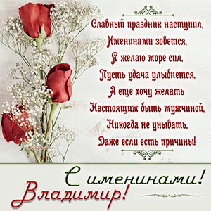Великолепная открытка с розами на именины Владимиру