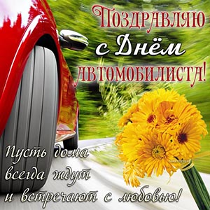 Поздравляю с Днём автомобилиста, цветы на фоне машины