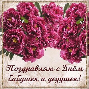 Картинка на День бабушек и дедушек с цветочками
