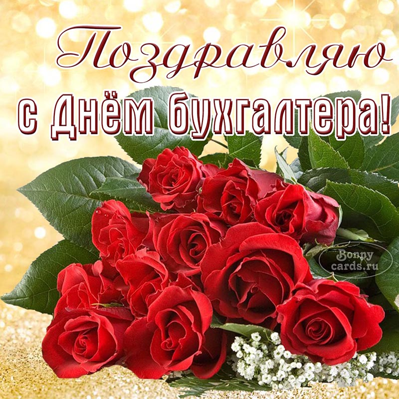 Открытка - поздравление на День бухгалтера с красными розами