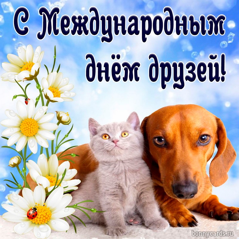 Милая открытка с собачкой и котиком на День друзей