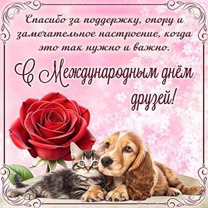 Спасибо за поддержку, опору и замечательное настроение