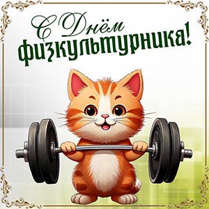 Картинка на День физкультурника с котом и штангой