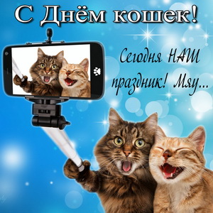 Прикольная открытка на День кошек
