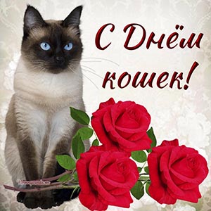 Красивая открытка с Днём кошек с красными розами