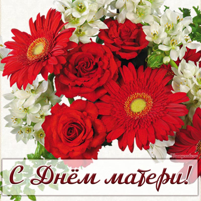Замечательная открытка с цветами на День матери