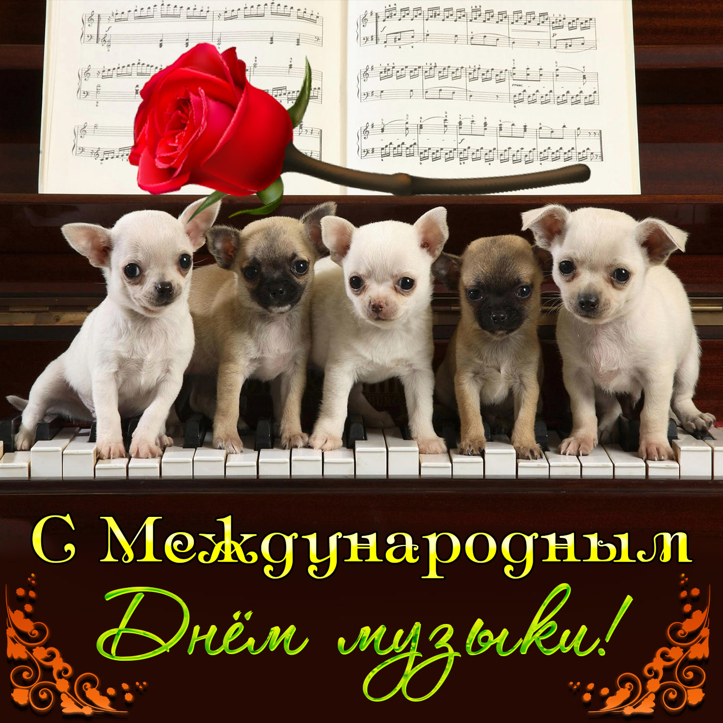 Открытка на День музыки - милые собачки сидят на клавишах