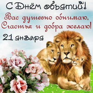Открытка со львами и цветами на День объятий