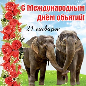 Открытка на Международный День объятий со слонами