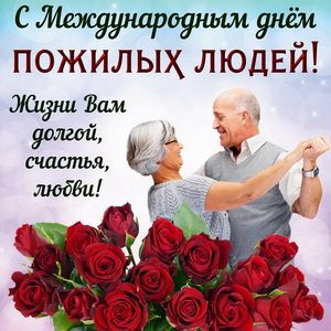Красивые розы на Международный день пожилых людей