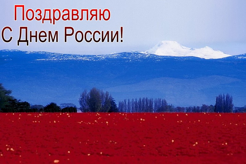 Поздравляю с Днём России, цвета флага