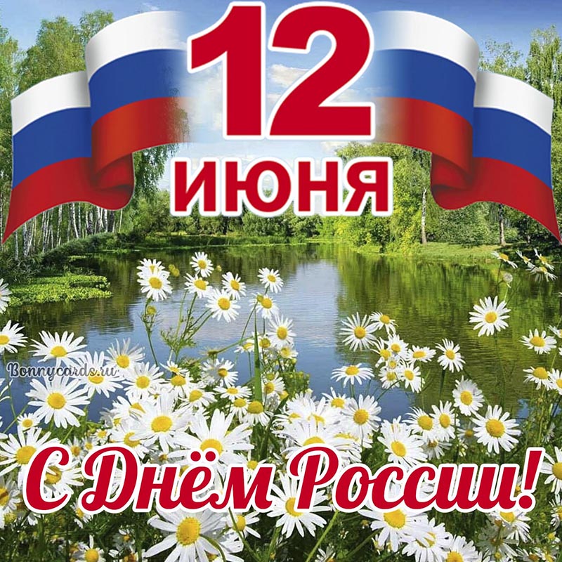 Красивая картинка на День России с ромашками