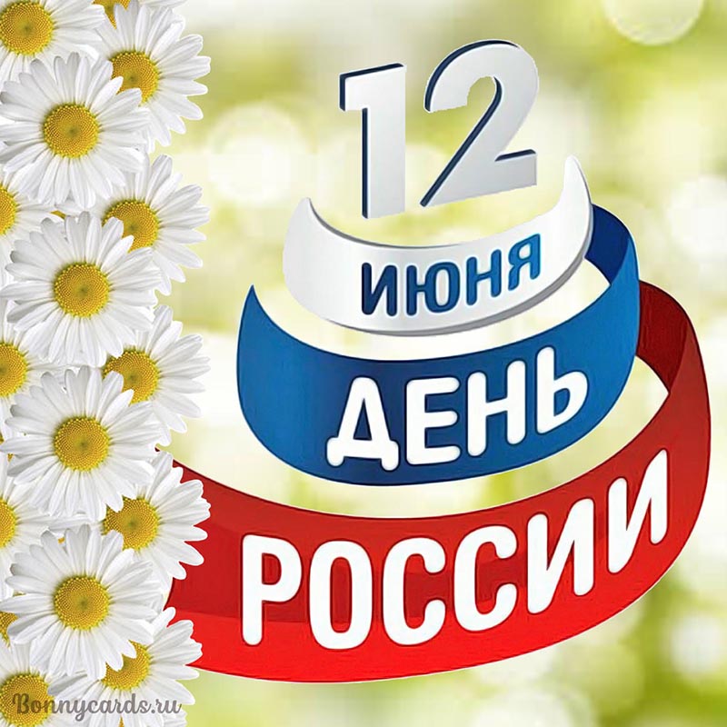 Милая открытка с ромашками на День России 12 июня