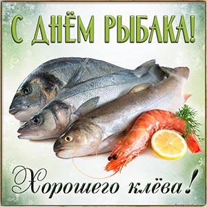 Прекрасное пожелание хорошего клёва на День рыбака