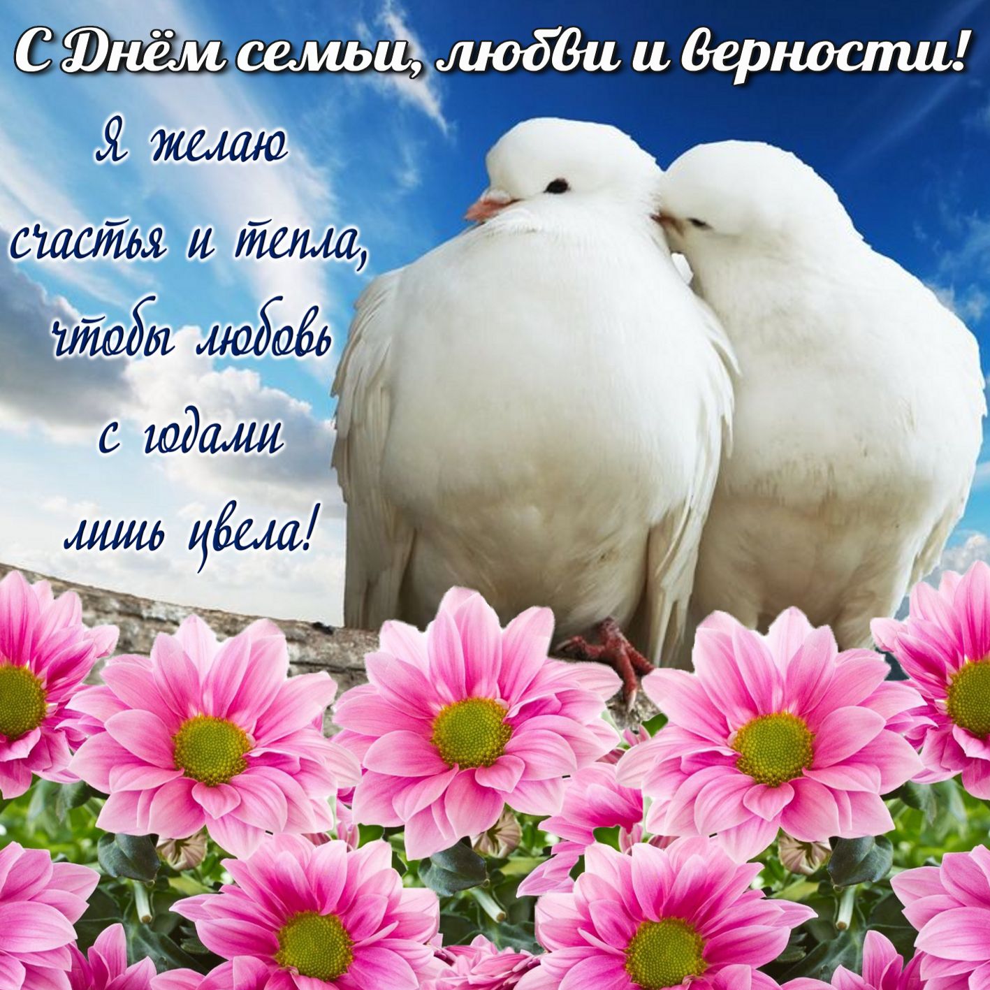 Открытка на День семьи любви и верности влюбленные голубки на фоне цветов