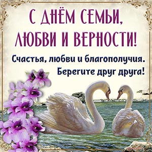 Лебеди и поздравление с Днём семьи, любви и верности
