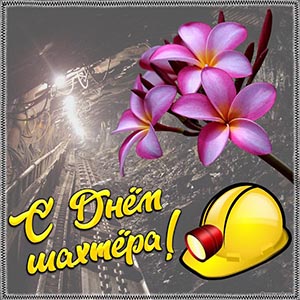 Картинка на День шахтёра с красивыми цветами и каской