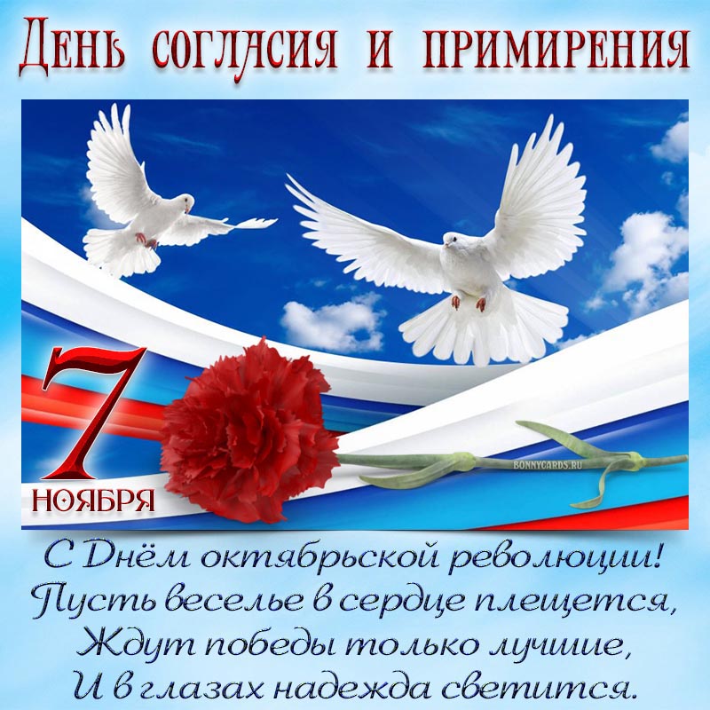 Открытка с Днём согласия и примирения - пожелание на 7 ноября со стихами и красной гвоздикой