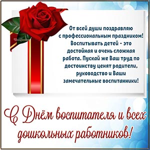 Роза на День воспитателя и всех дошкольных работников