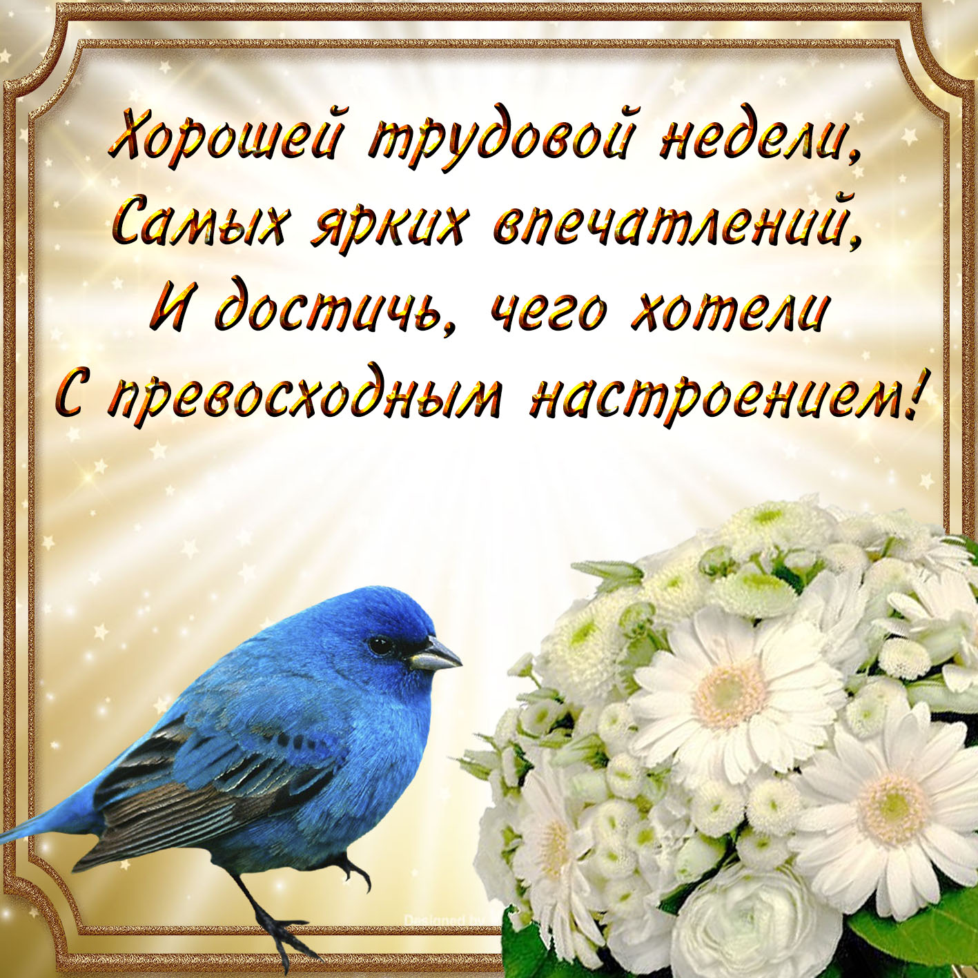 Доброе утро открытки новые с пожеланиями мудрыми. Добрые пожелания. Пожелания доброго дня. Хорошие пожелания в стихах с картинками. Открытки с пожеланием хорошей недели.