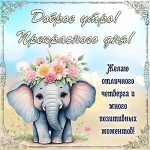 Супер открытка со слоном - доброе утро, прекрасного дня