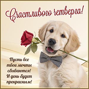 Милая собака с розой и фраза - счастливого четверга