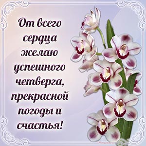 От всего сердца желаю успешного четверга и счастья