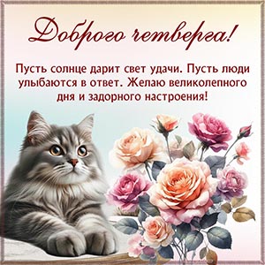 Желаю доброго четверга, пусть солнце дарит свет удачи