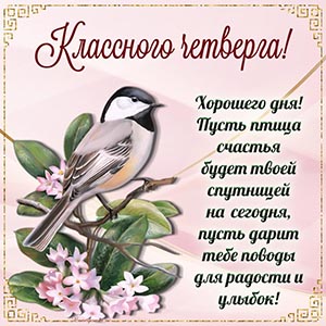 Открытка с птичкой и цветами для классного четверга