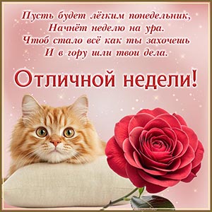 Пусть будет лёгким понедельник, начнет неделю на ура