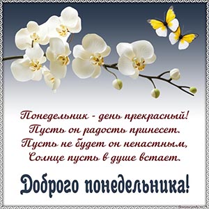 Картинка доброго понедельника с орхидеями и бабочками