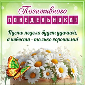 Красивые ромашки и надпись - пусть неделя будет удачной