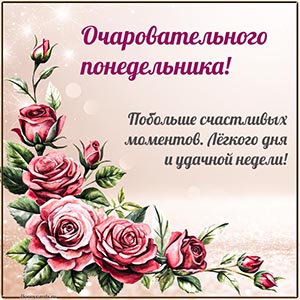 Очаровательного понедельника, лёгкого дня, удачной недели