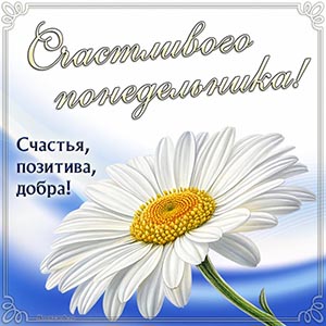 Счастливого понедельника, счастья, позитива, добра